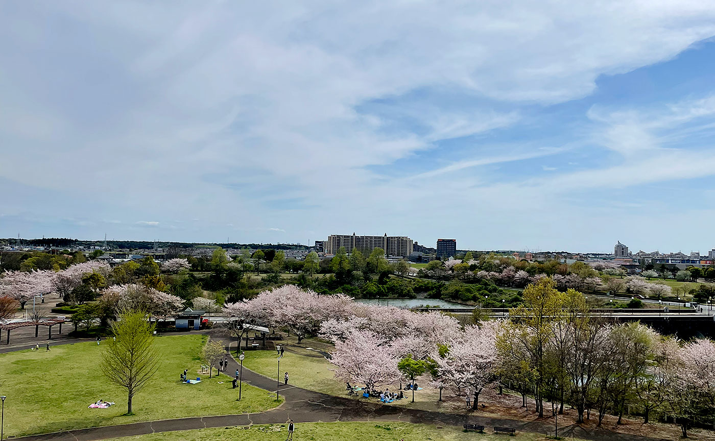 牧の原公園