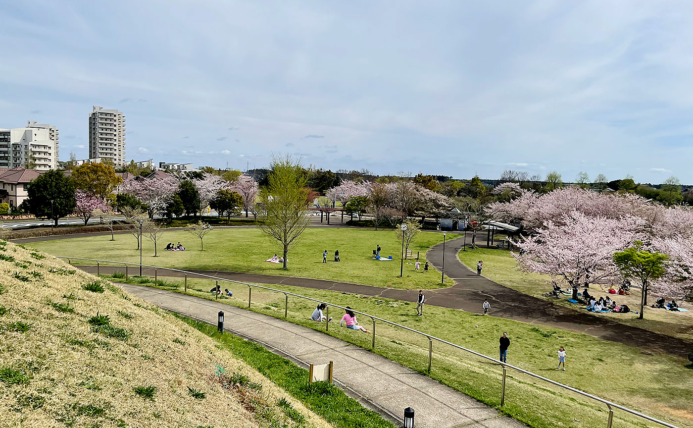 牧の原公園
