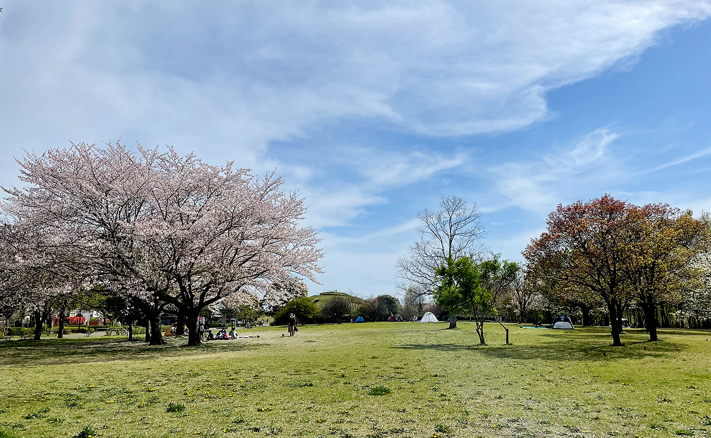 牧の原公園