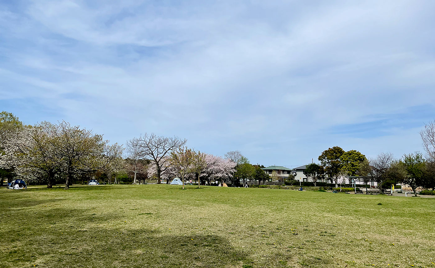 牧の原公園