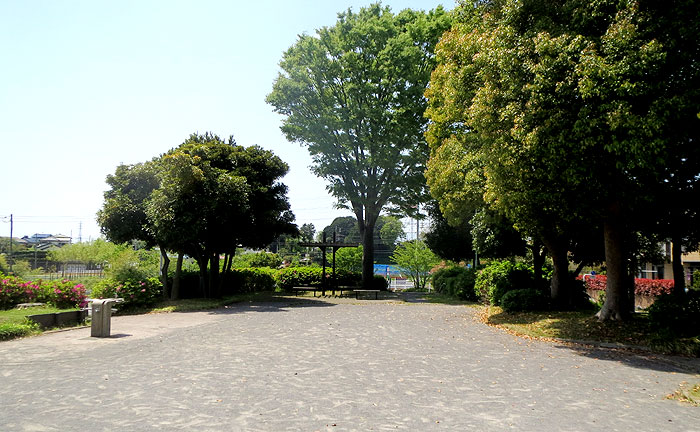 八幡山公園