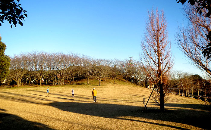 七次第2公園