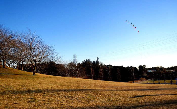 七次第2公園