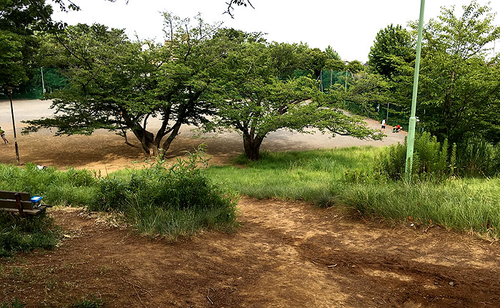 鷺沼公園