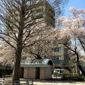 公園探訪