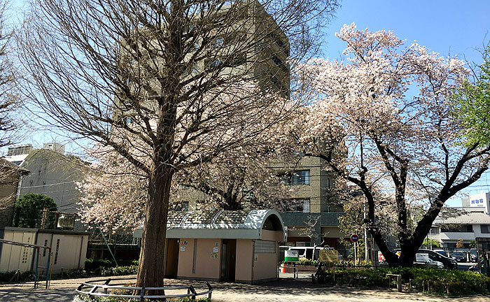 原町田わかば公園