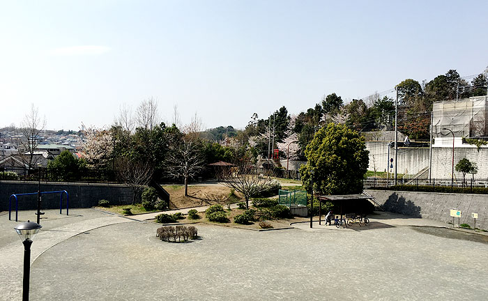 能ヶ谷空と緑の森公園