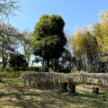 公園探訪