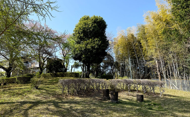 公園探訪