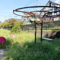 公園探訪