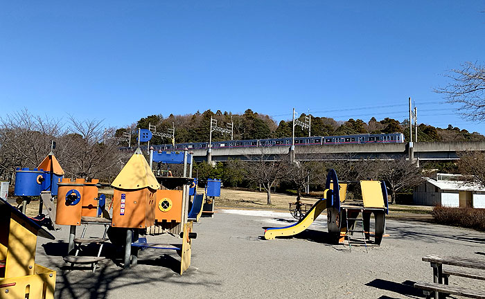 大百池公園