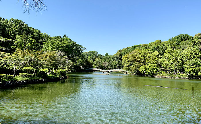 薬師池公園