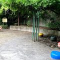 公園探訪