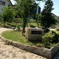 公園探訪