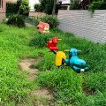 公園探訪