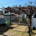 公園探訪