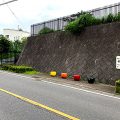 公園探訪