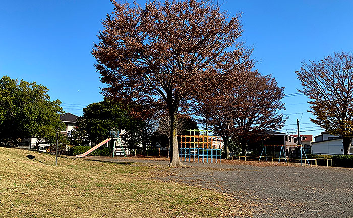 天神原公園