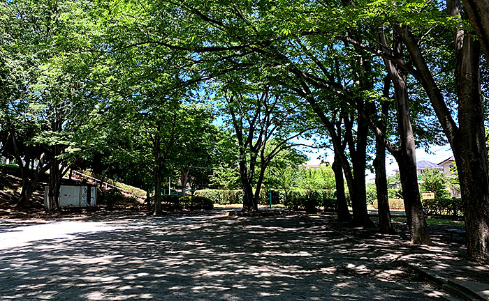 金森わさび田児童公園