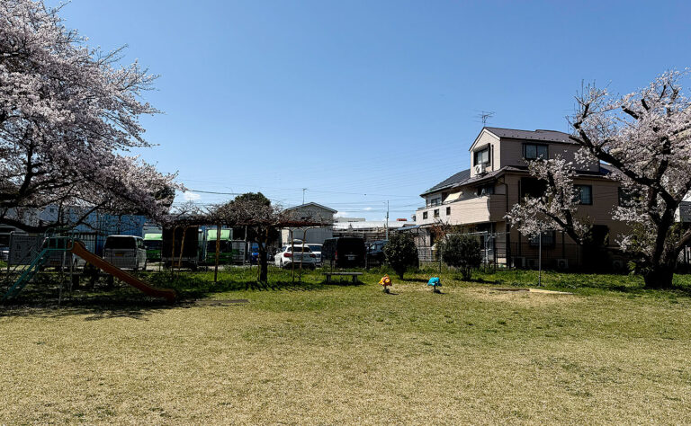 公園探訪