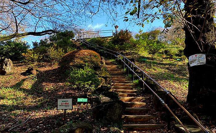 戸山公園