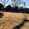 公園探訪