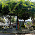 公園探訪