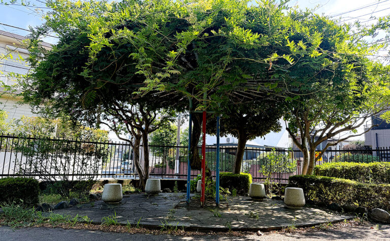 公園探訪