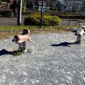 公園探訪