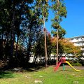 公園探訪