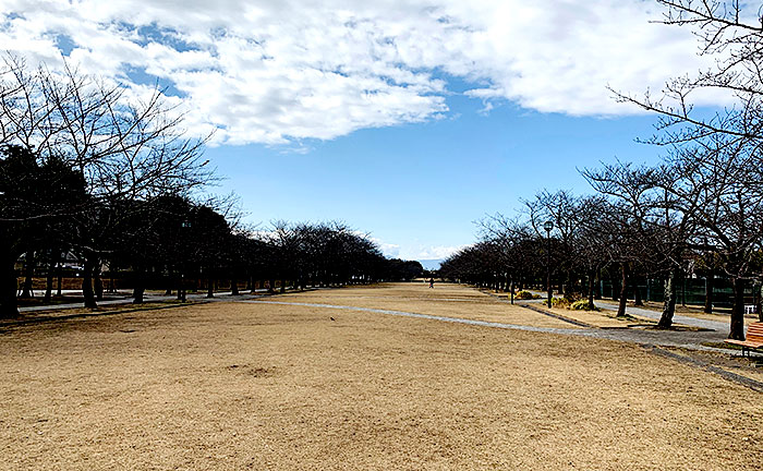 宝野公園