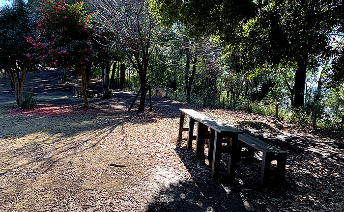 かしの木山自然公園