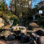 公園探訪