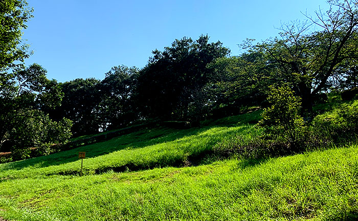 日向山公園