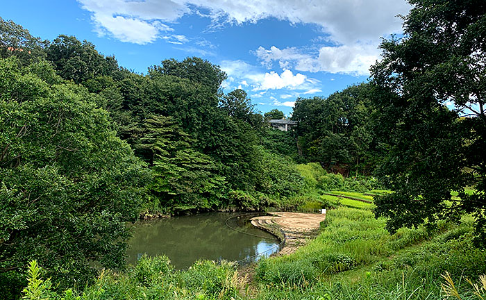 栃谷戸公園