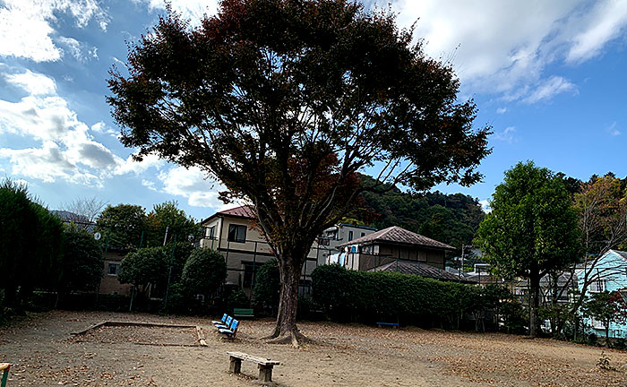 高尾上宿公園