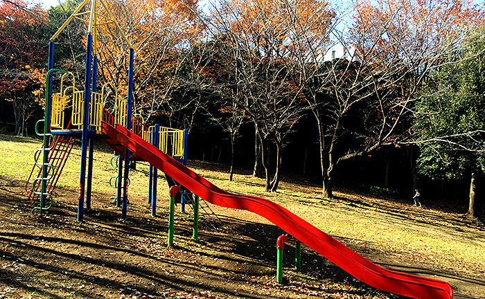 荏田猿田公園