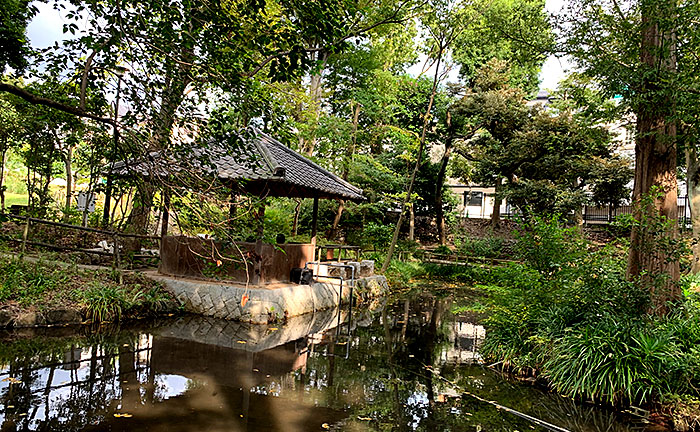 おとめ山公園