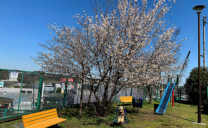 暁町三丁目公園