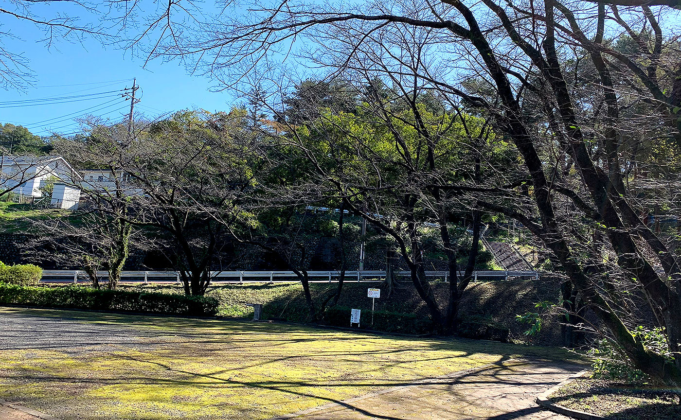 いろは坂桜公園