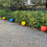 公園探訪