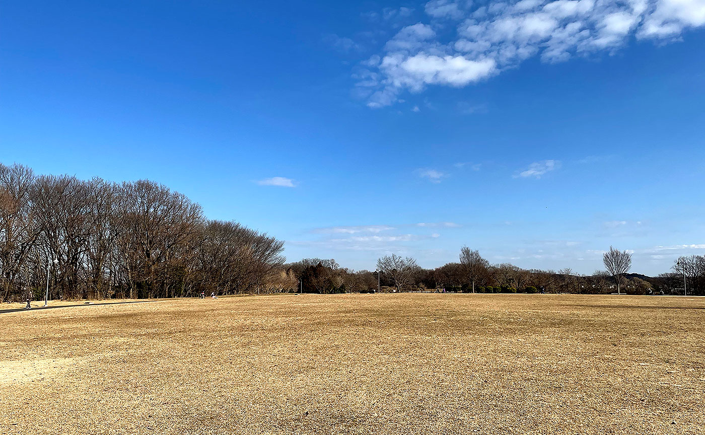 片倉つどいの森公園