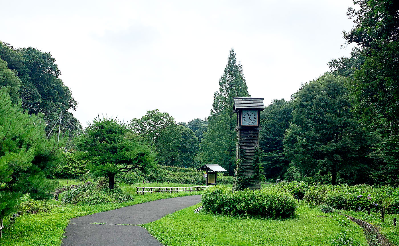 中沢池公園