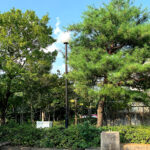 公園探訪