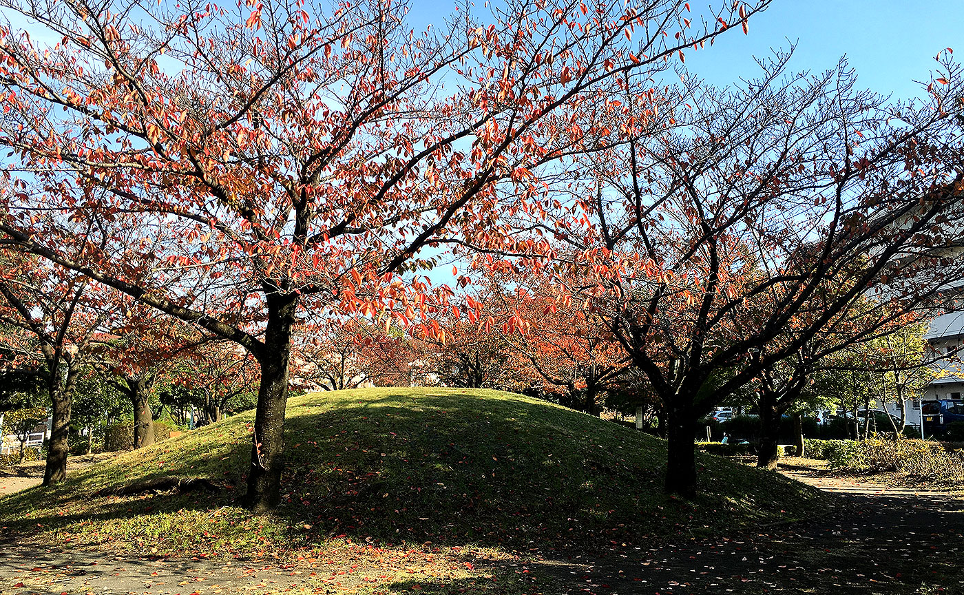 長坂公園