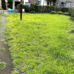 公園探訪
