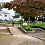 公園探訪