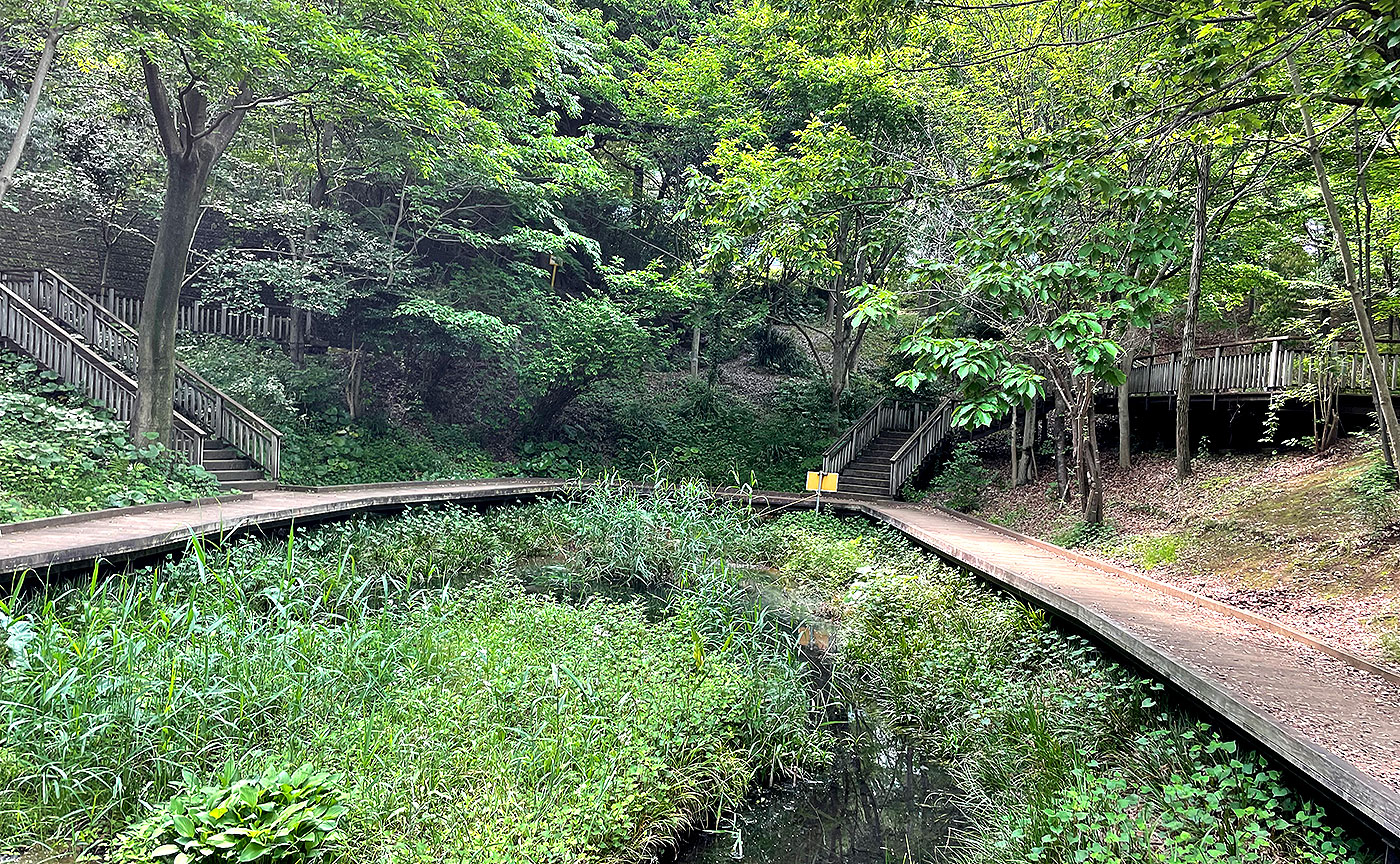 宮前美しの森公園