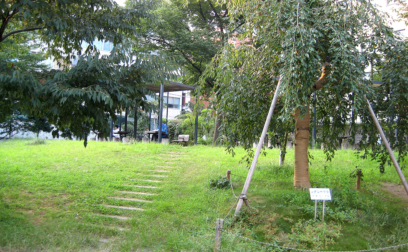 坂本町公園