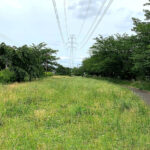 公園探訪